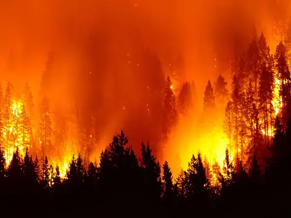 2023 saw a recurrence of last year's heatwaves and fires across the globe