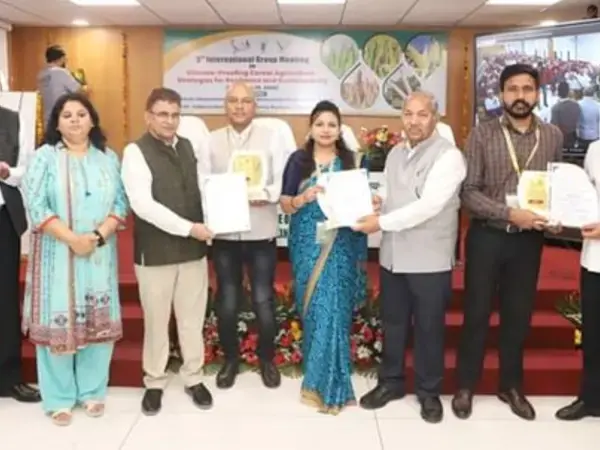 Group IGM Award Group IGM Award
