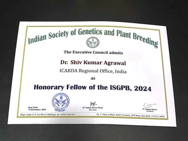 Award Award