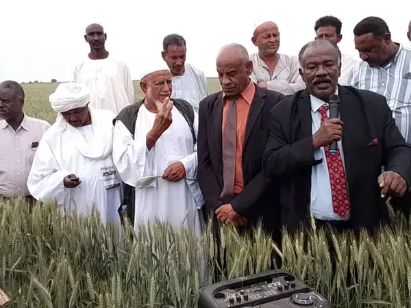 His Excellency (HE) Khider Ramadan, Minister of Agriculture of Kassala State (left) and HE Abu Baker Omer Abushra, Federal Minister of MoA (right) making a statement during the field day.