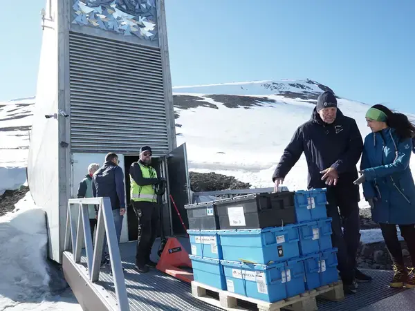 Svalbard Seed Deposit June 2025