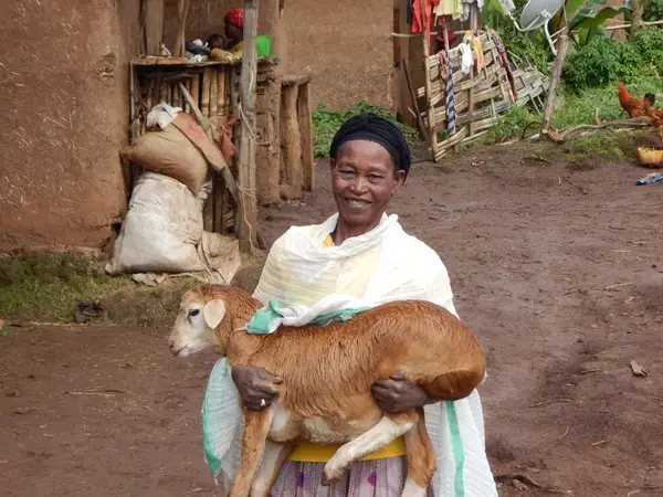 Ayelech holding sheep