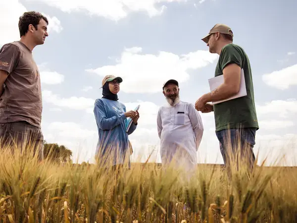 From left to right: ICARDA/BOLD’s Drs. Miguel Sanchez, Meryem Zeim, and Filippo Bassi talking with a farmer who evaluated the Jawahir durum wheat variety on his farm located in the dry region of Safi in Morocco. Photo Credit: Ahmed Isamili/ Crop Trust 