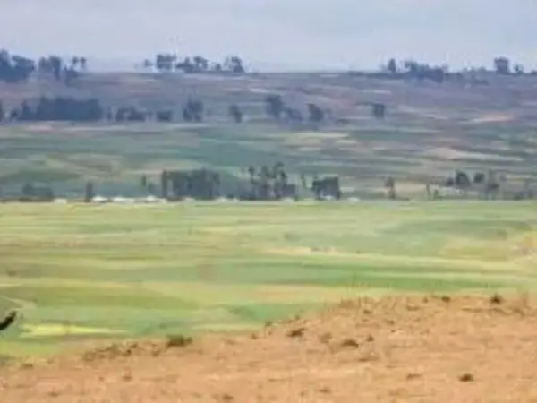 The world's dry areas need quick solutions to achieve food security 