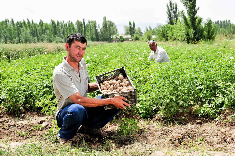 farmer