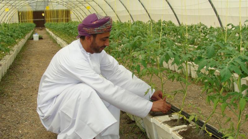 Protected agriculture – production in marginal areas.