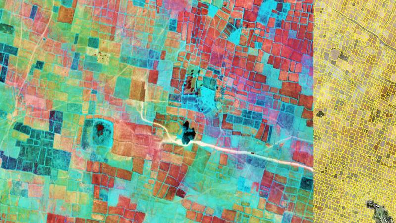 An ICARDA geoinformatics-based decision support tool targets sustainable pulse intensification in rice fallows.