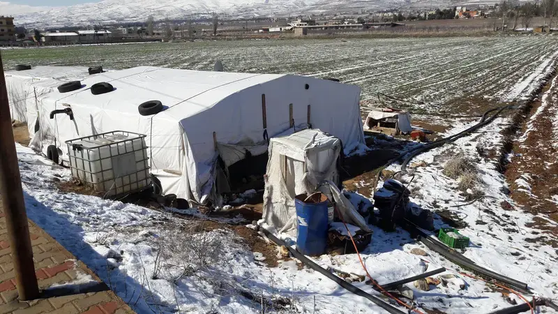 © Saja Taha Al Zubi (photos taken during filed visit 2016-2017)