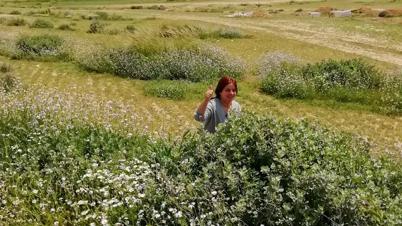 Exploring Jordan’s Rangeland Transition State