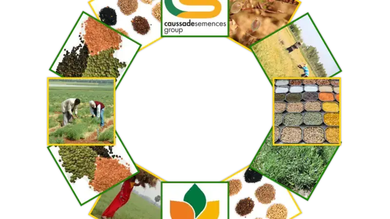 Collaboration between ICARDA and Caussade Semences Group (France)