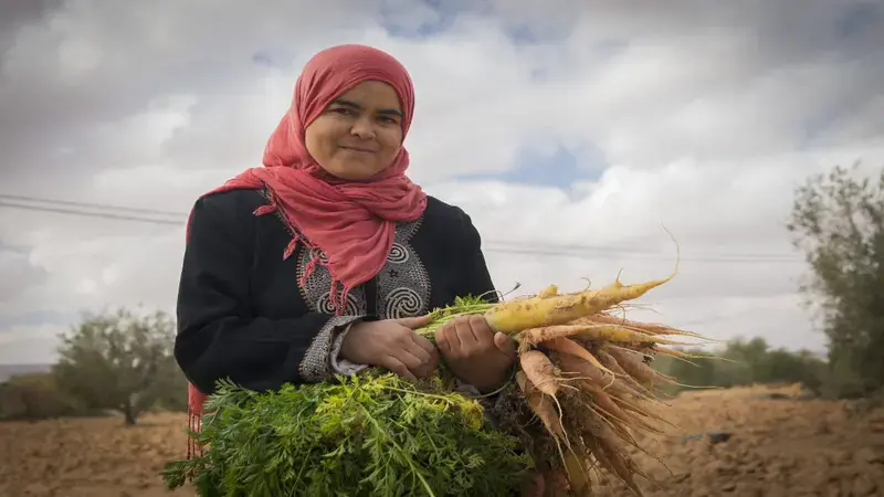 Growing vegetables in Tunisia. Photo: ICARDA