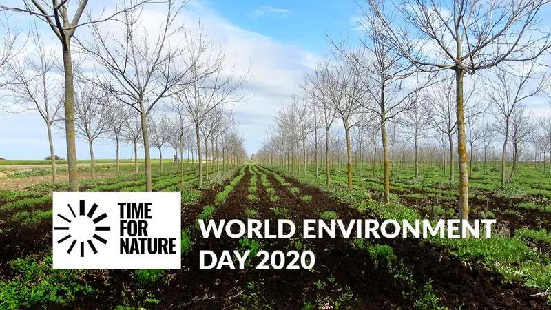 World Environment Day 2020