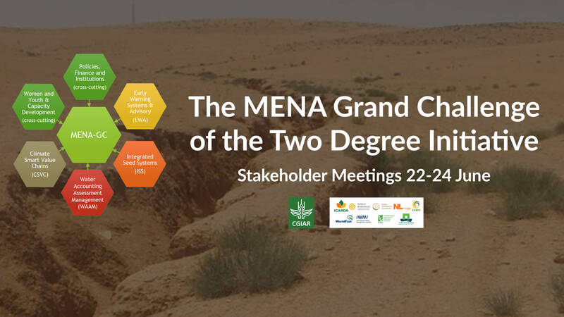 Mena Grand Challenge