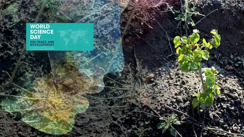 World Science Day for Peace and Development