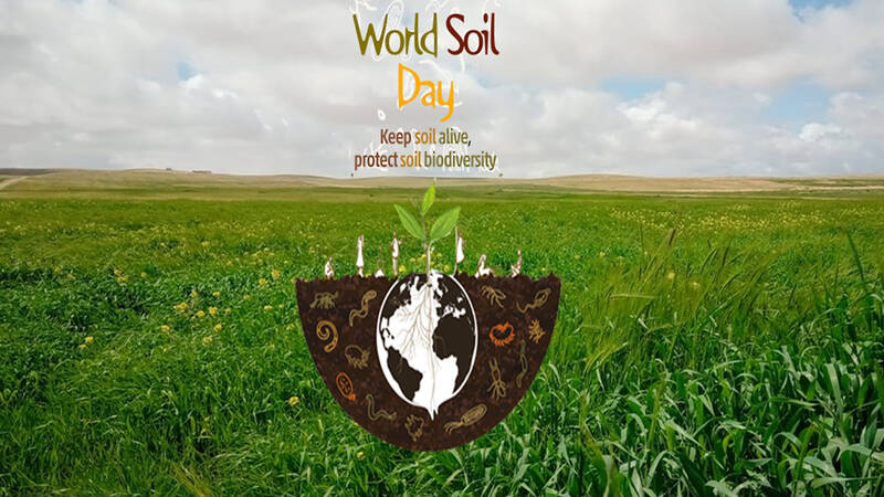 World Soil Day 2020