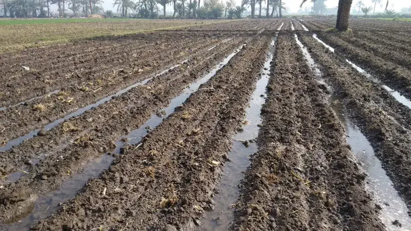 World Water Day 2021