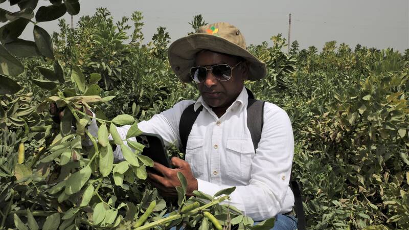 Dr. Chandrashekhar Biradar in the field