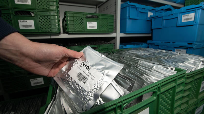 Genebank Manager Athanasios Tsivelikas in base collection cold room in Morocco -- Photo by Michael Major