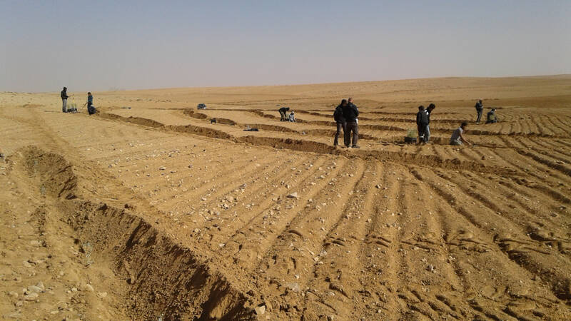 Recovering The Degraded Soils Of The Badia In Jordan