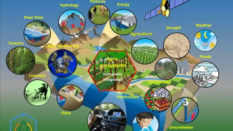 Digitalization of R4D