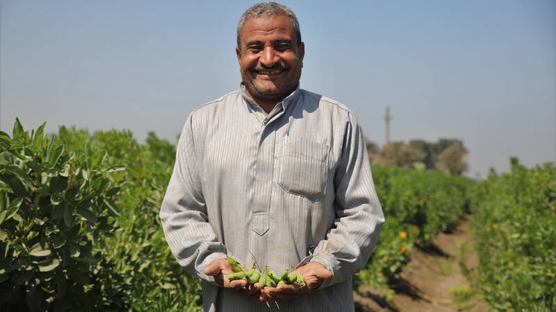 Egyptian Farmer