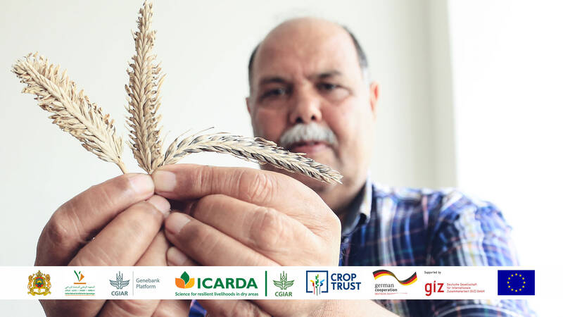 ICARDA Morocco Genebank Opening 