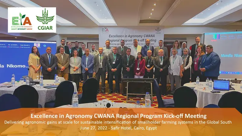 All participants at the EiA 2030 CWANA Kick-off Meeting