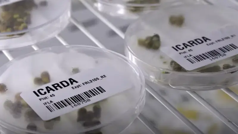 Genebank video (credit: Freethink)