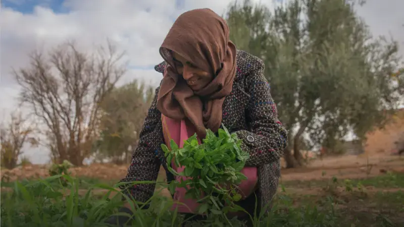 Climate report launch 