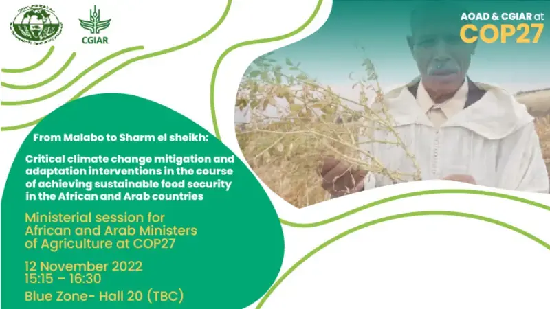 From Malabo to COP27