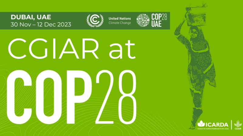 ICARDA AT COP28