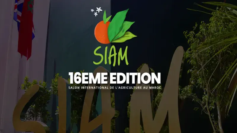SIAM 2024 SIAM 2024
