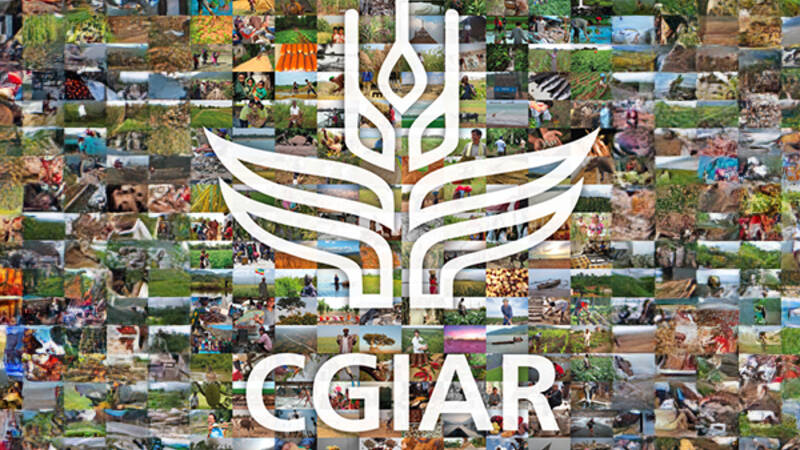 CGIAR System Council Meeting 2024 Brazil