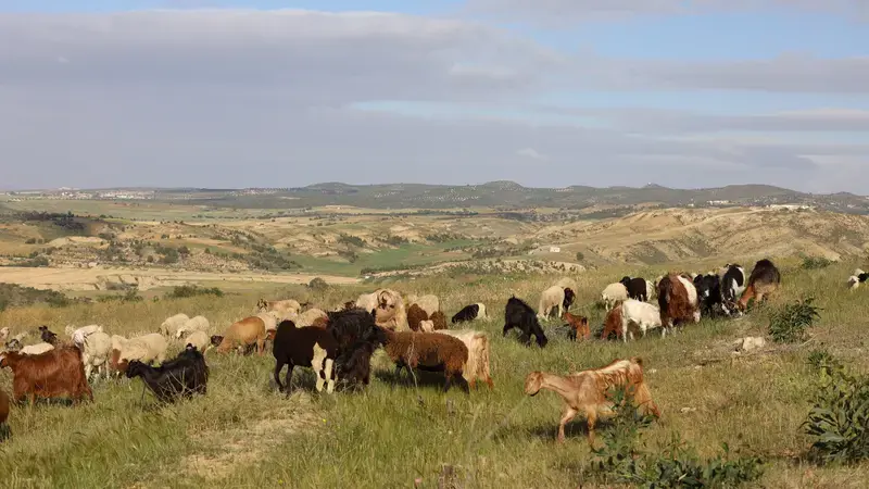 World Day to Combat Desertification and Drought 2024