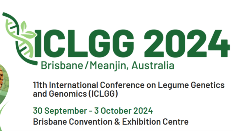 ICLGG 2024