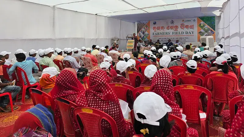 Farmers’ Field Day at Khadiapala, Keonjhar, Odisha, India    Photo credit: Ashis Kumar Jena, District Coordinator, IAP project 