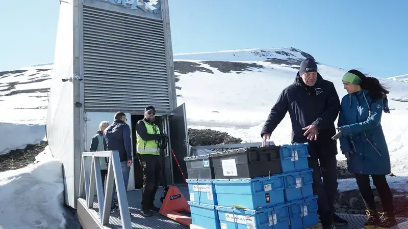 Svalbard Seed Deposit June 2025 Svalbard Seed Deposit June 2025