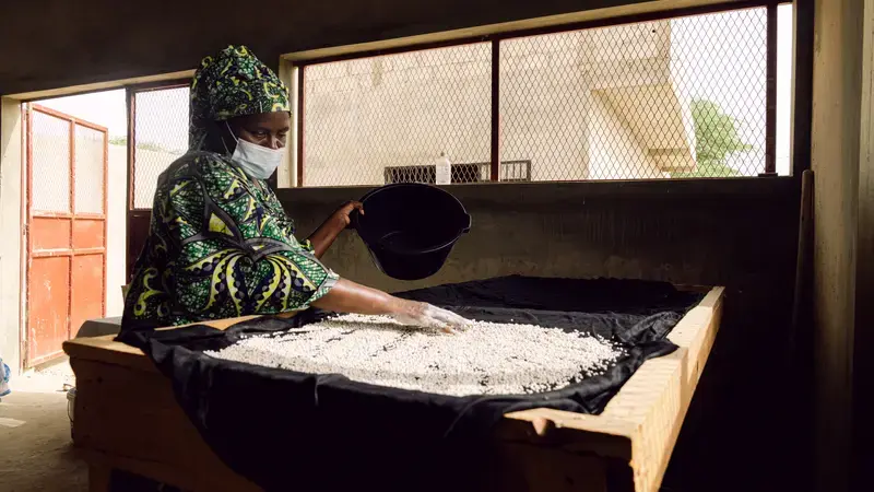 A member of the women’s cereal processing and production group in Sanar Walof village near Saint-Louis, Senegal. Photo Credit: Ollivier Girard/ICARDA A member of the women’s cereal processing and production group in Sanar Walof village near Saint-Louis, Senegal. Photo Credit: Ollivier Girard/ICARDA