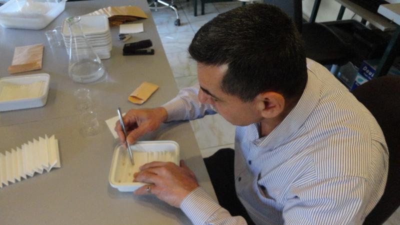 A scientist at work at the Tel Hadya Genebank, in Aleppo, Syria.