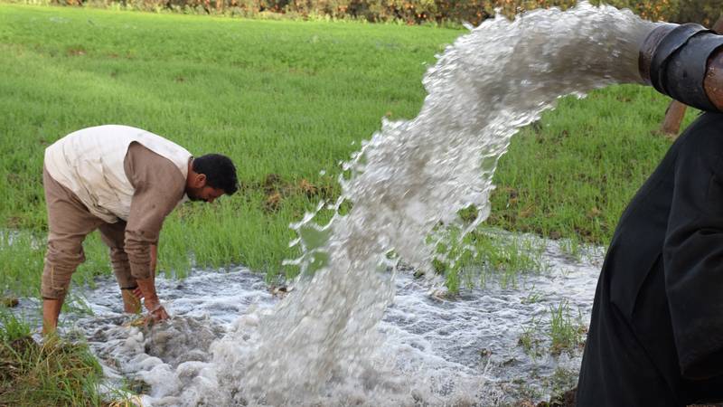 ICARDA works with partners to make ecosystems more resilient in the face of climate change and social challenges