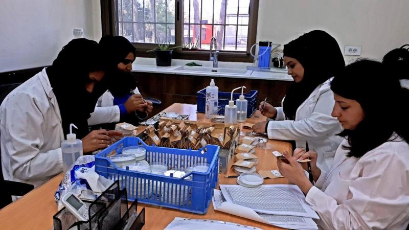 The immense success of ICARDA’s genebank can be attributed to its most precious resource: its staff. (Photo: Katrin Park/ICARDA)