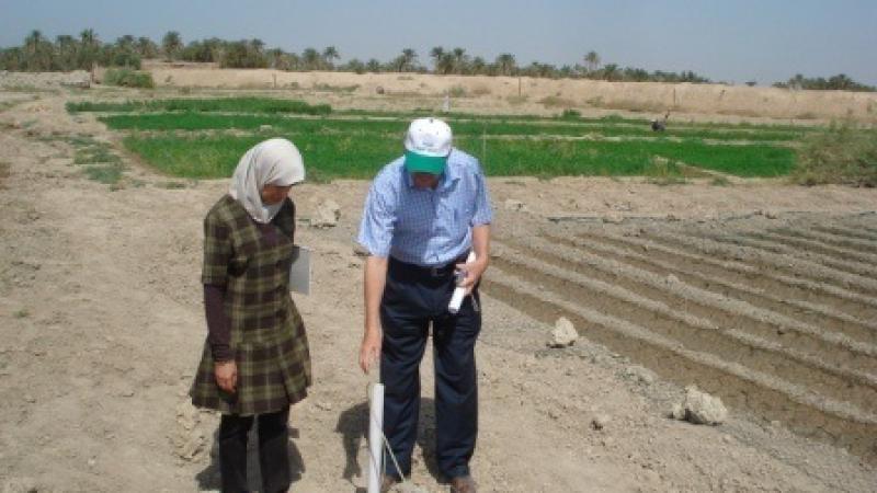 Increasing salinity is a growing problem in many countries that adversely impacts food production and farm profitability