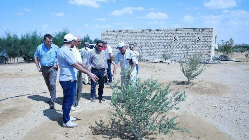 ICARDA team in El-Moghra (Photo: Aladdin Hamwieh)