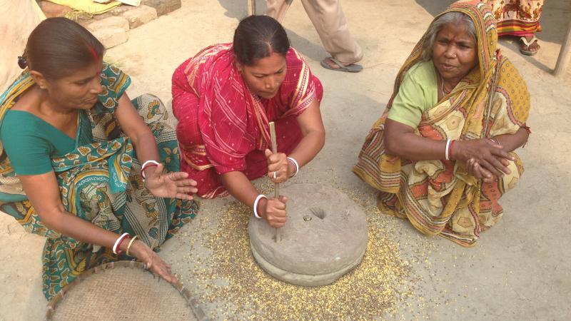 Indian women grinding grasspea. In collaboration with national partners like ICAR, ICARDA is developing low toxin grasspea varieties