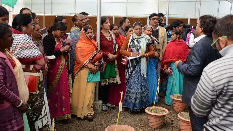 Women farmers learn about pulses technologies, value addition and new ways to earn