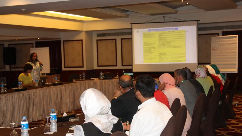 Workshop on "Gender mainstreaming for inclusive research and developmental outcomes", held in Cairo on October 9, 2016