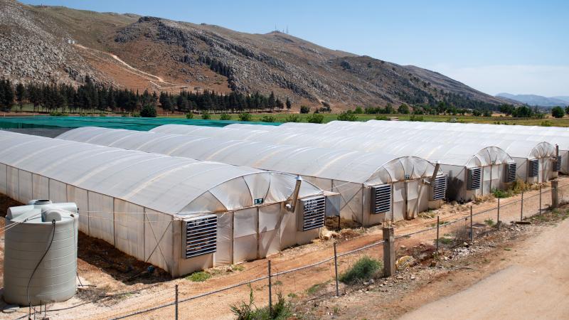 Plastic houses, ICARDA Terbol Station in Lebanon. Photo: Michael Major/Crop Trust