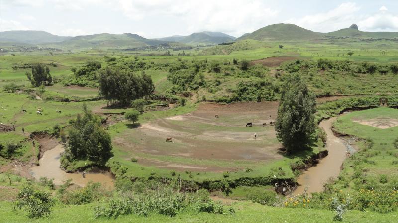 The Gumara-Maksegnit watershed in northwest Ethiopia