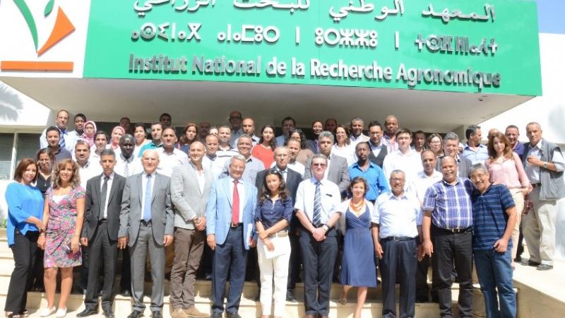 Workshop on Adoption, Impact and Seed System of Wheat in Morocco