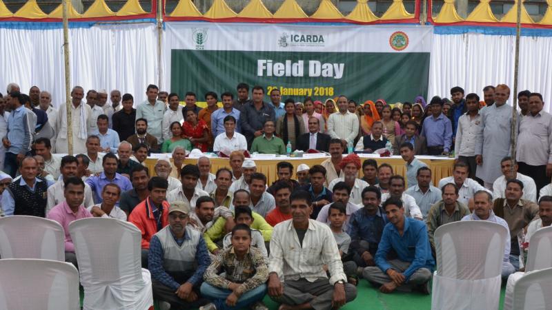 At ICARDA’s Amlaha Station, farmers get a chance to learn about improved varieties and new production technologies